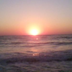 Meet your Posher, Colleen